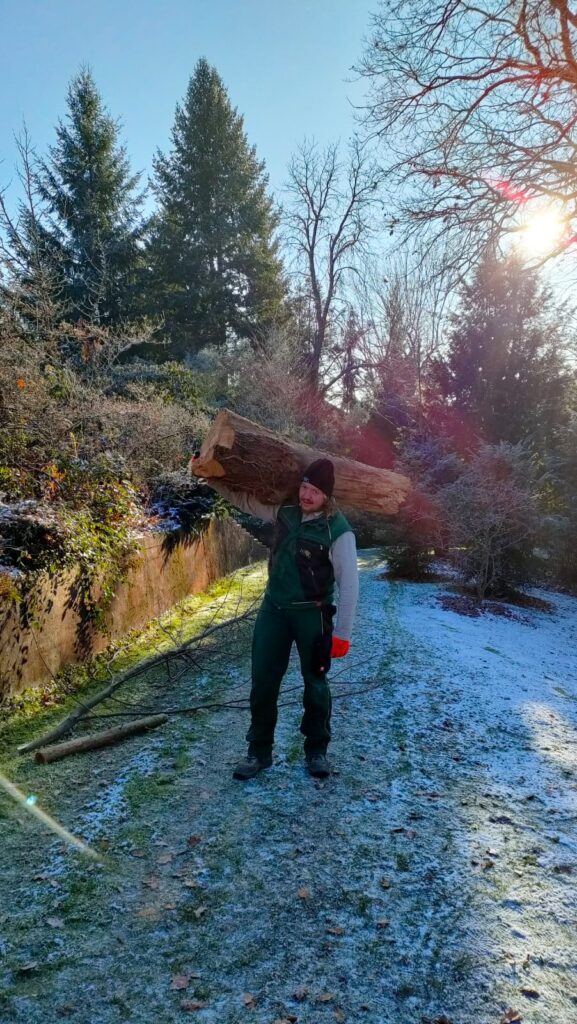 Der Januar plagt uns mit Bodenfrost!