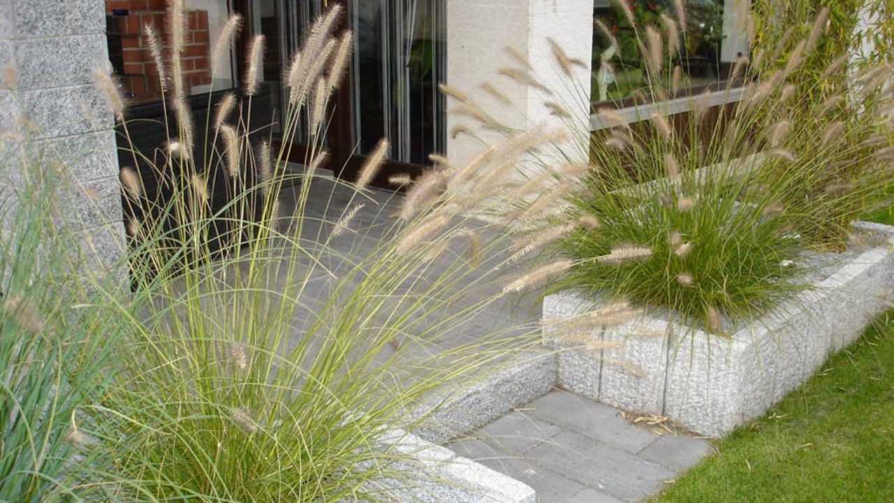 Gartenbau für Privatgärten und Hausbesitzer im Raum Nürnberg