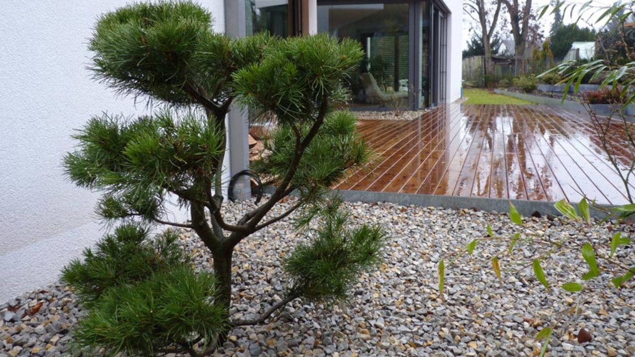 Privatgarten Ansicht - Jung GaLaBau