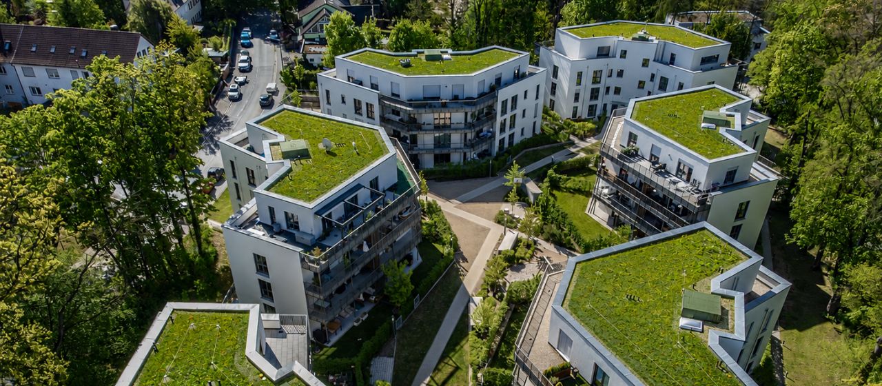 Dachbegr&uuml;nung als Leistung von JUNG GaLaBau